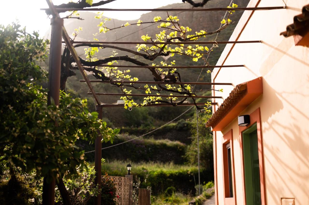 特罗尔Casa Rural Bejeque别墅 外观 照片
