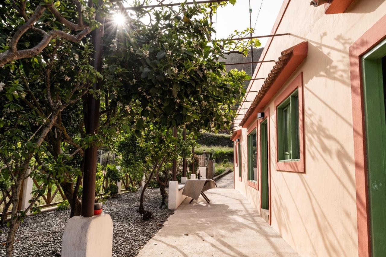 Casa Rural Bejeque 特罗尔 外观 照片